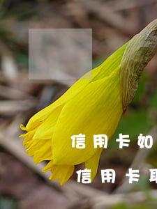 信用卡如何透支取現(xiàn)后多久(用信用卡取錢會(huì)怎樣)