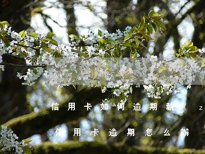 信用卡如何逾期執(zhí)行(2017年信用卡逾期怎么辦)