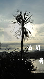 信用卡如果5年不還怎么辦(信用卡5年不還錢有什么后果)