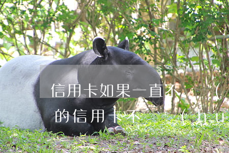信用卡如果一直不還會(huì)怎樣(銀行的信用卡不還會(huì)怎么樣)