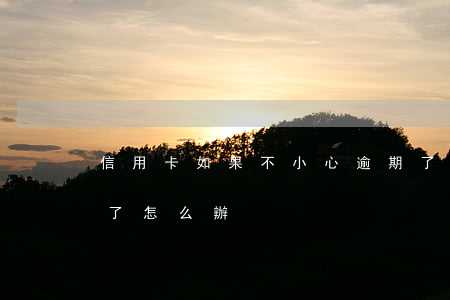 信用卡如果不小心逾期了怎么辦(信用卡 逾期了怎么辦)