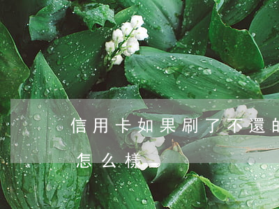 信用卡如果刷了不還的后果(刷信用卡不還會怎么樣)