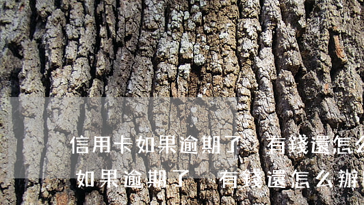 信用卡如果逾期了沒有錢還怎么辦-信用卡如果逾期了沒有錢還怎么辦呢