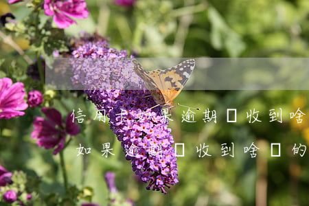 信用卡如果逾期會收到啥樣的信息-信用卡如果逾期會收到啥樣的信息通知