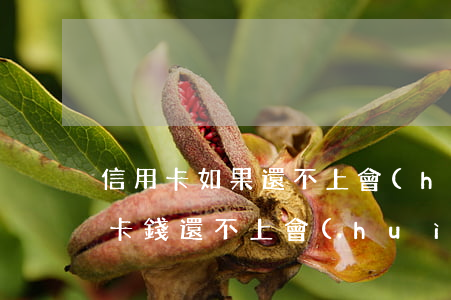 信用卡如果還不上會(huì)怎么樣(信用卡錢還不上會(huì)怎么樣)