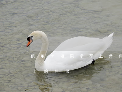 信用卡如果還不上會有什么后果(信用卡還不上的后果)