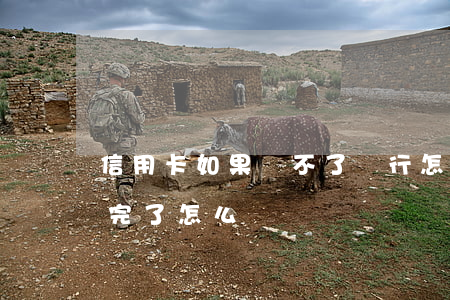 信用卡如果還不了銀行怎么處理(信用卡還不完了怎么辦)