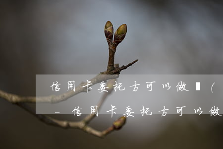 信用卡委托方可以做個(gè)性化分期嗎-信用卡委托方可以做個(gè)性化分期嗎