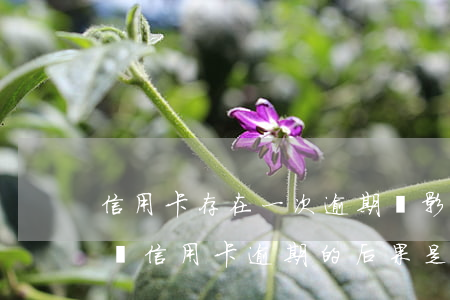 信用卡存在一次逾期會影響貸款-貸款逾期與信用卡逾期的后果是什么