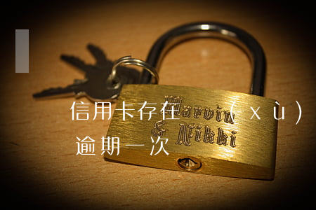 信用卡存在連續(xù)逾期記錄(信用記錄逾期一次)