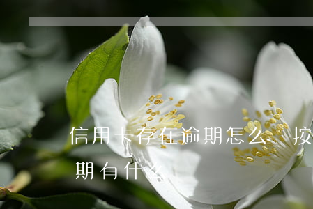 信用卡存在逾期怎么辦按揭(銀行卡信用卡逾期有什么辦)
