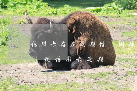 信用卡存在逾期情況(因特殊情況導(dǎo)致信用卡逾期)