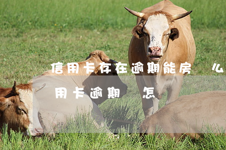 信用卡存在逾期能房貸么(有房貸的情況下信用卡逾期會怎樣)