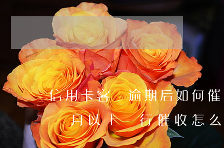 信用卡客戶逾期后如何催收(欠信用卡逾期3個月以上,銀行催收怎么辦?)