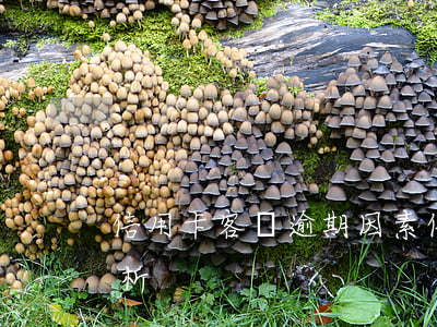 信用卡客戶逾期因素(信用卡客戶逾期因素分析)