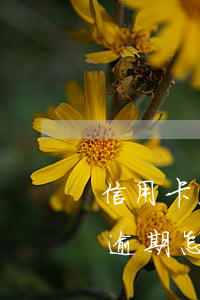 信用卡客服可以查逾期了嗎(查信用卡有沒有逾期怎么查)