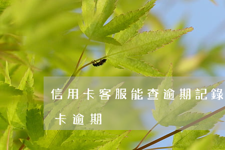 信用卡客服能查逾期記錄嗎(怎么能查出信用卡逾期)