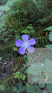 信用卡客服說(shuō)逾期沒(méi)有上征信-我征信沒(méi)有逾期信用卡不給批