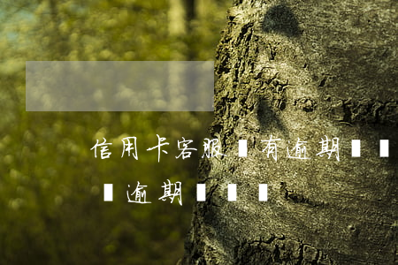 信用卡客服說有逾期記錄(信用卡客服可以查詢逾期記錄嗎)