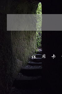 信用卡家花唄欠了2萬(花唄兩萬沒能力還了)