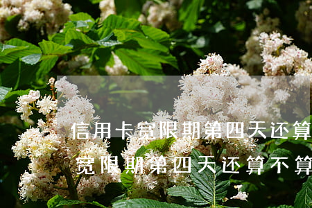 信用卡宽限期第四天还算不算逾期-信用卡宽限期第四天还算不算逾期了
