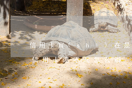 信用卡實(shí)在是還不起怎么辦(銀行信用卡還不起怎么辦)