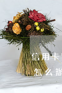 信用卡實在是沒有錢還怎么辦(信用卡沒錢還怎么辦?)