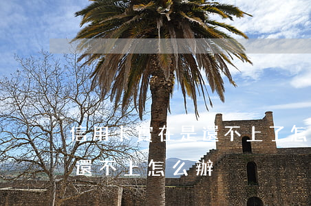 信用卡實在是還不上了怎么辦(信用卡用完了還不上怎么辦)