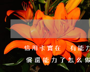 信用卡實在沒有能力還款怎么辦(信用卡沒有償還能力了,怎么做最好?)