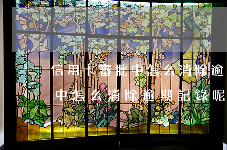信用卡審批中怎么消除逾期記錄(信用卡審批中怎么消除逾期記錄呢)