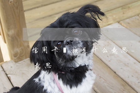 信用卡審核是什么意思-信用卡審核是什么意思