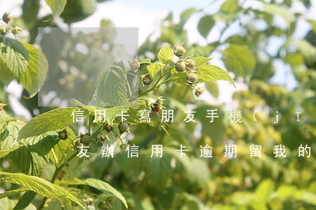 信用卡寫朋友手機(jī)逾期會影響嗎(朋友辦信用卡逾期留我的電話有影響嗎)