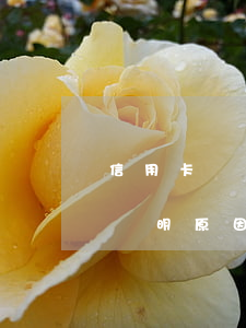 信用卡寫逾期原因怎么寫(信用卡非惡意逾期證明原因怎么寫)