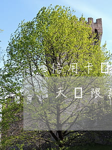 信用卡寬限期三天后還款算逾期嗎(信用卡3天寬限期內(nèi)還款有利息嗎?)