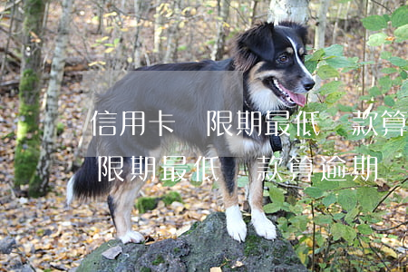 信用卡寬限期最低還款算逾期嗎-信用卡寬限期最低還款算逾期嗎怎么辦