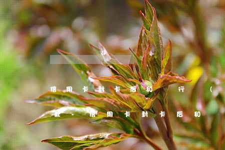 信用卡封卡后和銀行協(xié)商分期還款-信用卡封卡后和銀行協(xié)商分期還款有影響嗎