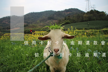 信用卡封卡后逾期還款會(huì)坐牢嗎-信用卡封卡后逾期還款會(huì)坐牢嗎知乎