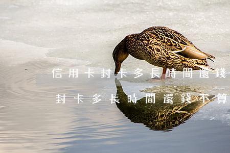 信用卡封卡多長時間還錢不算逾期-信用卡封卡多長時間還錢不算逾期了