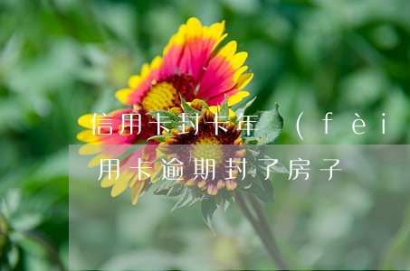 信用卡封卡年費(fèi)逾期怎么辦(欠信用卡逾期封了房子)