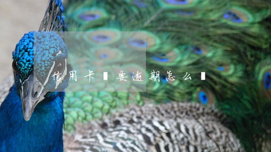 信用卡將要逾期怎么辦