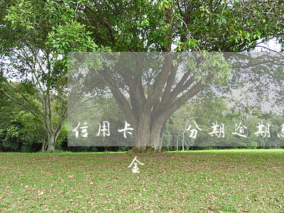 信用卡專項分期逾期怎辦(專項分期逾期還款違約金)