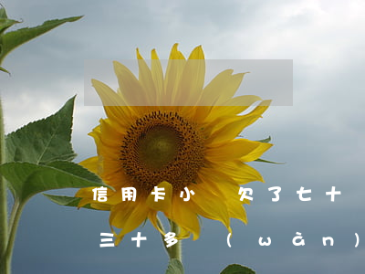 信用卡小貸欠了七十萬(wàn)(欠信用卡三十多萬(wàn))