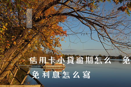 信用卡小貸逾期怎么減免(信用卡逾期申請減免利息怎么寫)