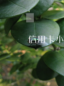 信用卡小貸逾期慢慢還(小貸逾期了)