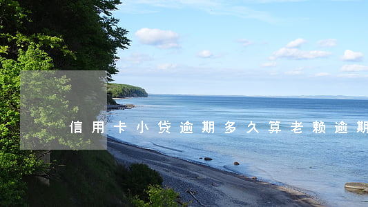 信用卡小贷逾期多久算老赖(逾期多久 老赖)