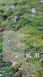 信用卡小逾期上征信嗎(征信有小貸逾期)