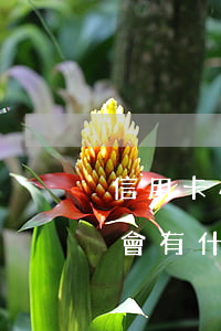 信用卡小金額逾期30天(信用卡逾期30天 會有什么影響么)