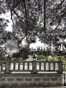 信用卡小金額逾期怎么辦車(chē)貸