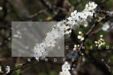 信用卡小金額逾期有影響嗎(信用卡小金額逾期有影響嗎嗎)