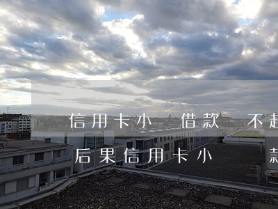 信用卡小額借款還不起會(huì)有什么后果(信用卡小額貸款不還會(huì)怎么樣)